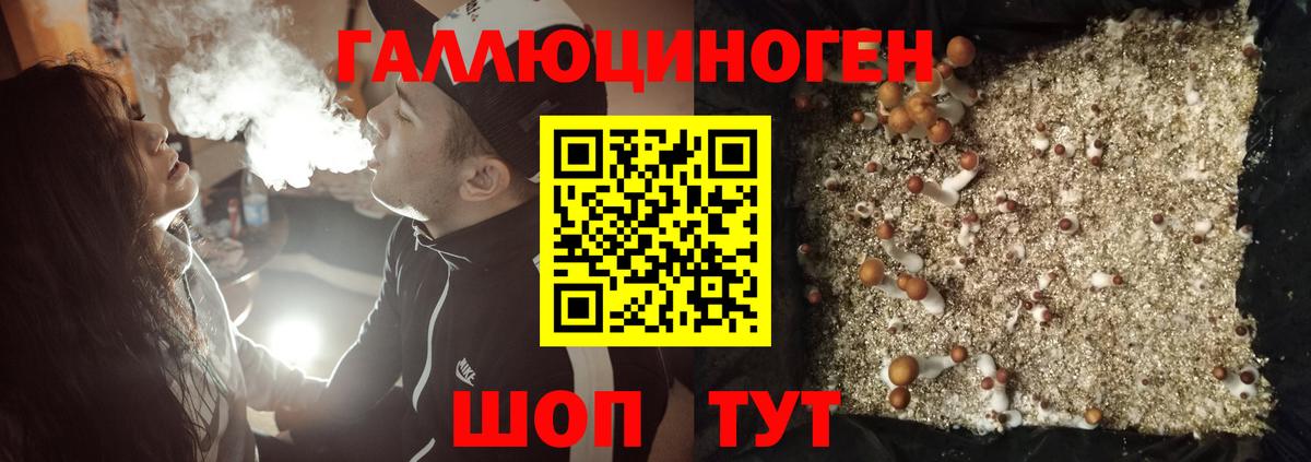 Апрелевка  даркнет сайт  Вход с VPN  Галлюциногенные грибы мицелий 